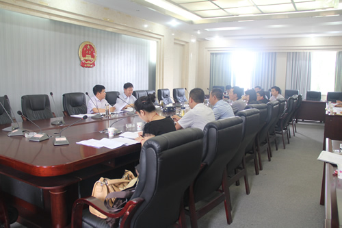 政府領導、企業(yè)代表參加了崇禮新城投資合作協(xié)議討論會(圖1)